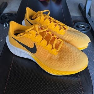 Nike Zoom Pegasus Running Shoe